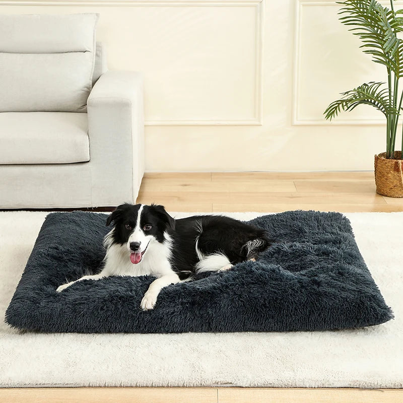 Soft Bed for Dogs and Cats