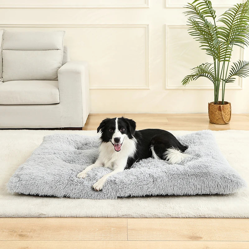 Soft Bed for Dogs and Cats