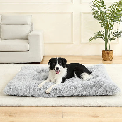 Soft Bed for Dogs and Cats