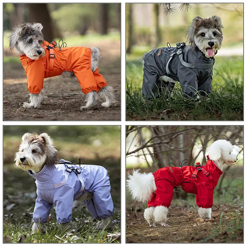 Waterproof raincoat for small dogs
