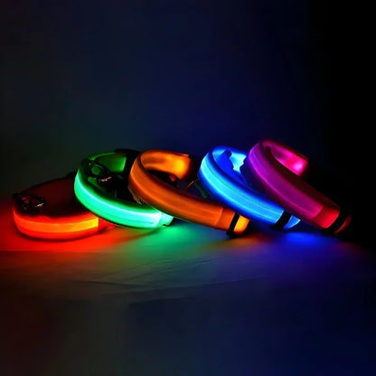 Dog Collar Nylon LED Night Safety