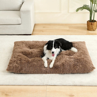 Soft Bed for Dogs and Cats