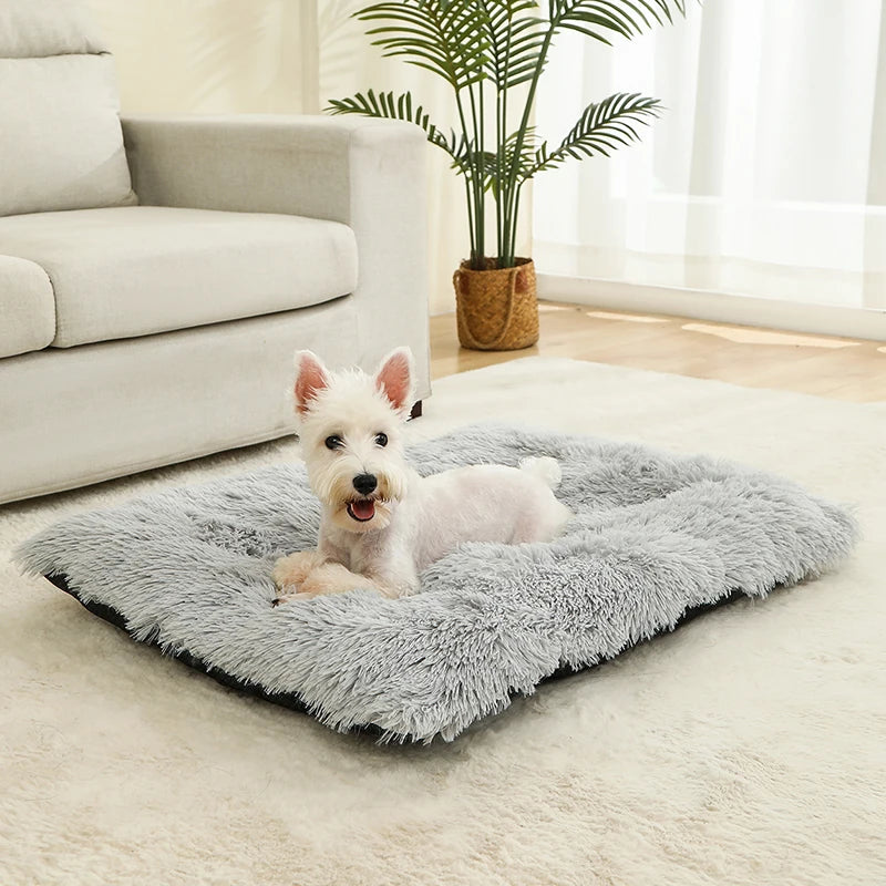 Soft Bed for Dogs and Cats
