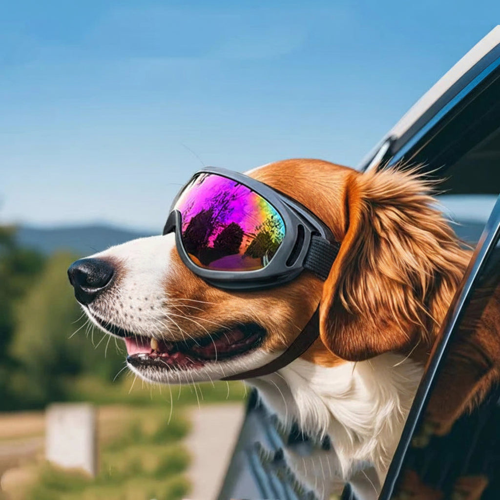 Dog UV Protection Goggles – Adjustable Pet Sunglasses