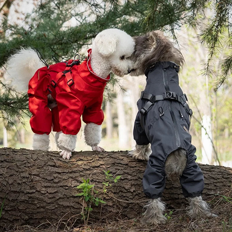 Waterproof raincoat for small dogs