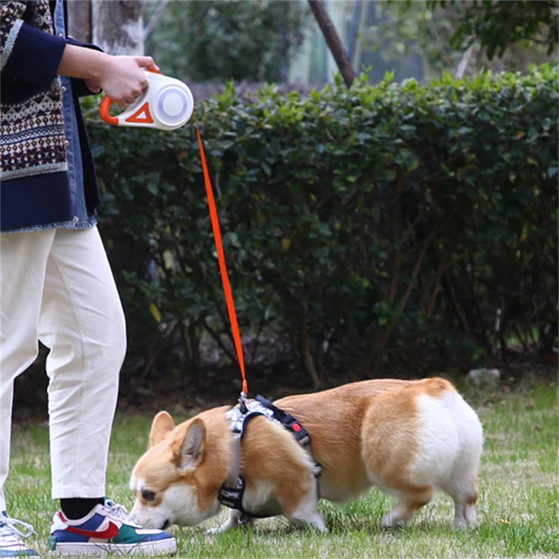 Automatic Retractable Dog Leash with LED Flashlight