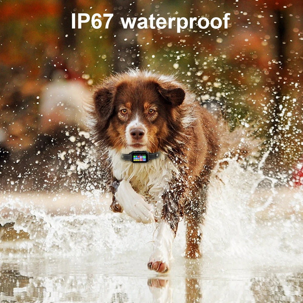 Wireless GPS Pet Fence and Tracker