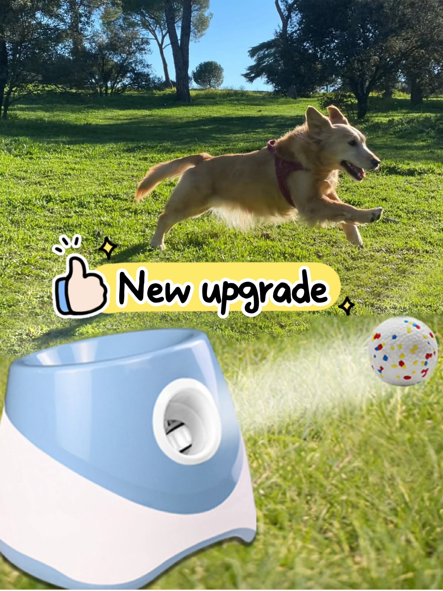 Dog Launcher Automatic Dogs Chase Toy Tennis