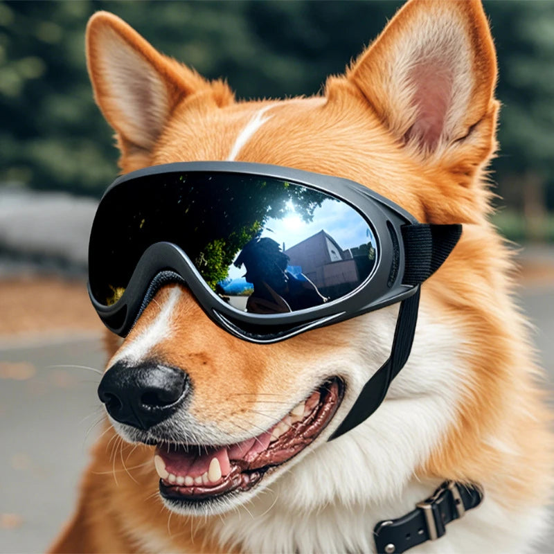 Dog UV Protection Goggles – Adjustable Pet Sunglasses