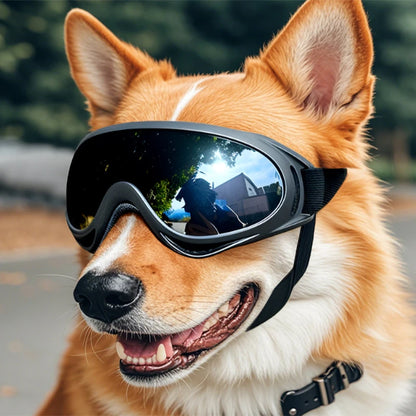 Dog UV Protection Goggles – Adjustable Pet Sunglasses