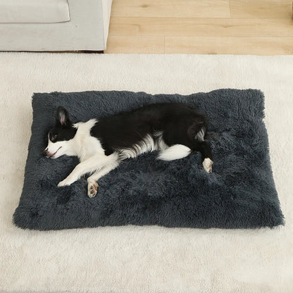 Soft Bed for Dogs and Cats