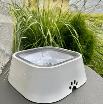 Dry Bowl