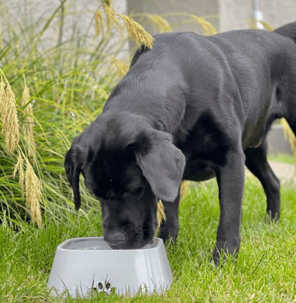 Dry Bowl