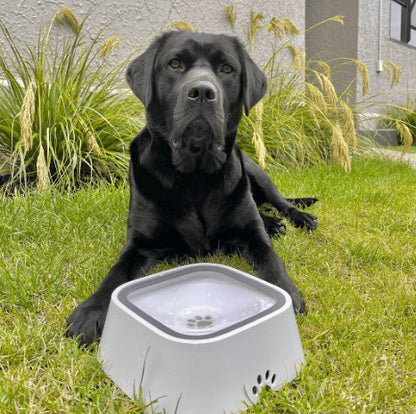 Dry Bowl